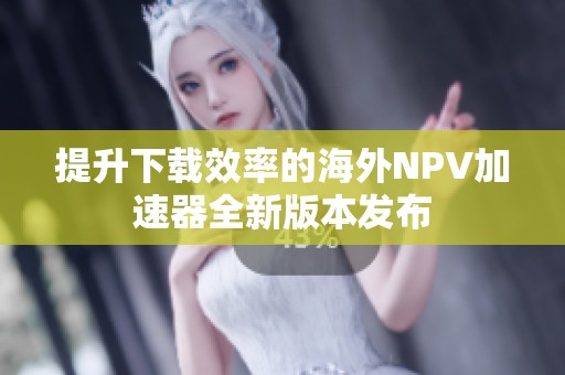 提升下载效率的海外NPV加速器全新版本发布