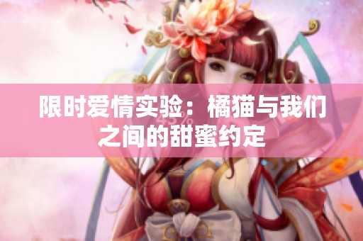 限时爱情实验：橘猫与我们之间的甜蜜约定