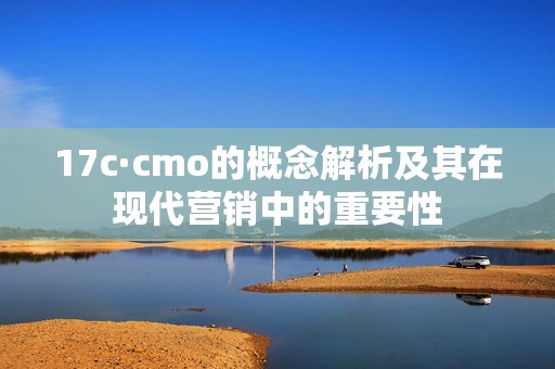 17c·cmo的概念解析及其在现代营销中的重要性